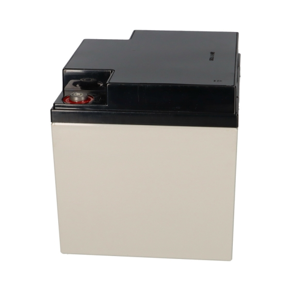 Yuasa Blei-Akku NPL38-12I Pb 12V